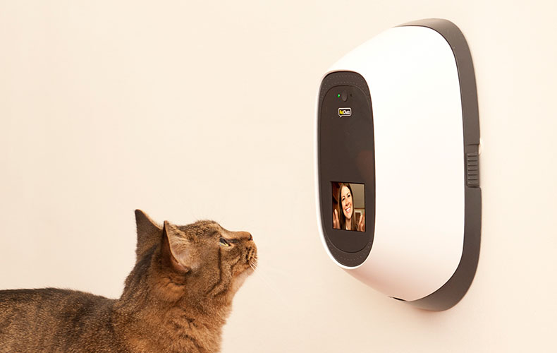 Petchatz is like having Facetime with Kitty.